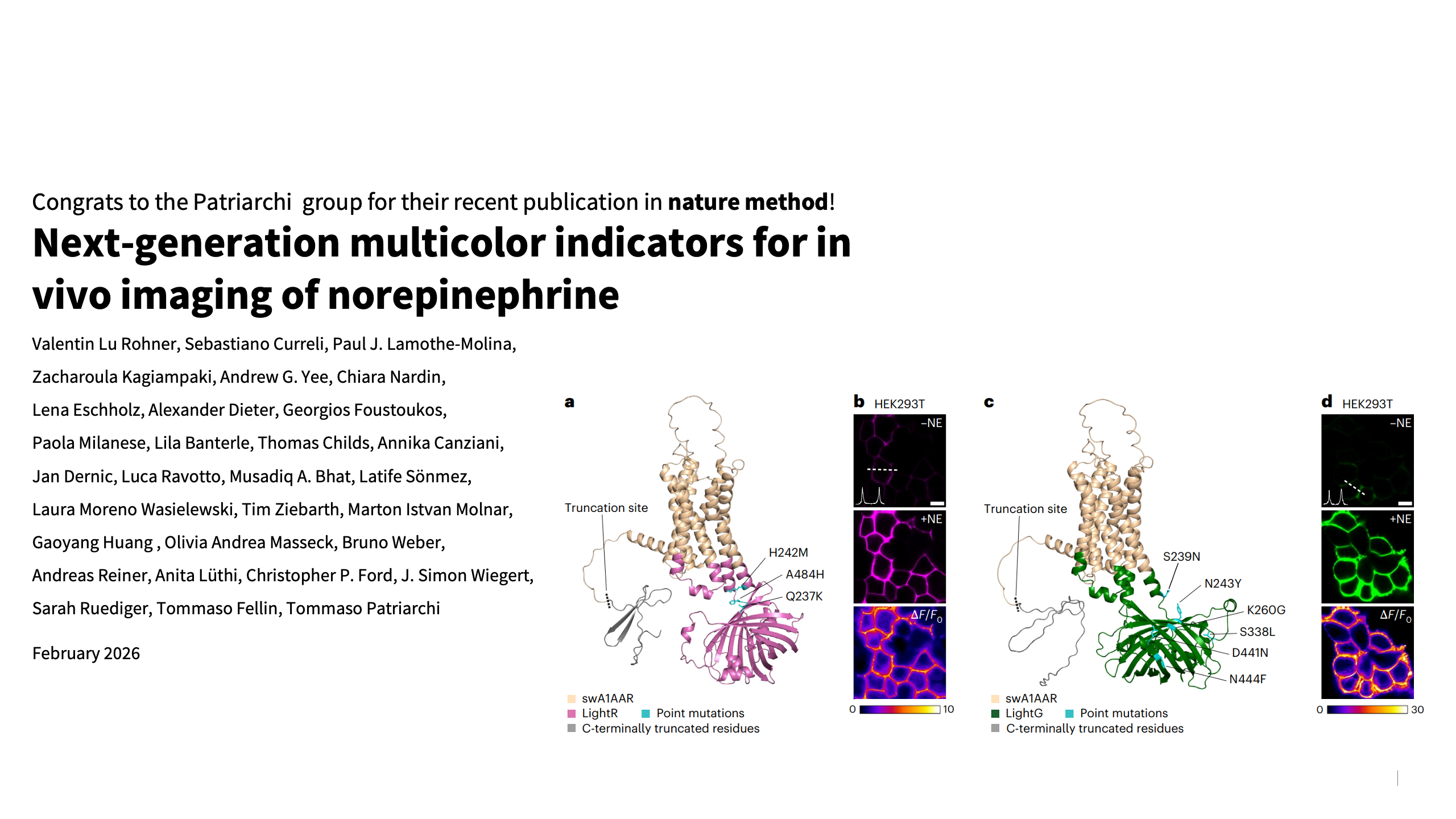 https://www.nature.com/articles/s41592-026-03006-z