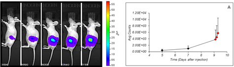 Project1Biom_Figure3